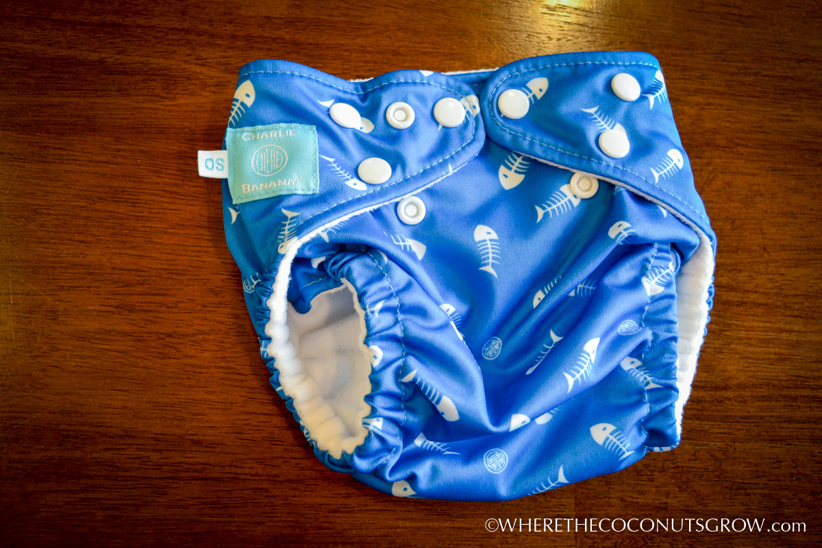 Cloth Diapers On A Boat (and a review of 8 brands!)